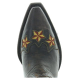 TEXAS THE LONE STAR