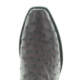 ALEDO