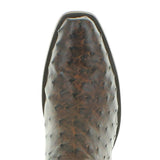 ALEDO