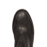 TULIPAN