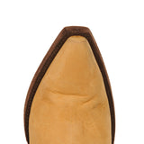 TULIPAN II